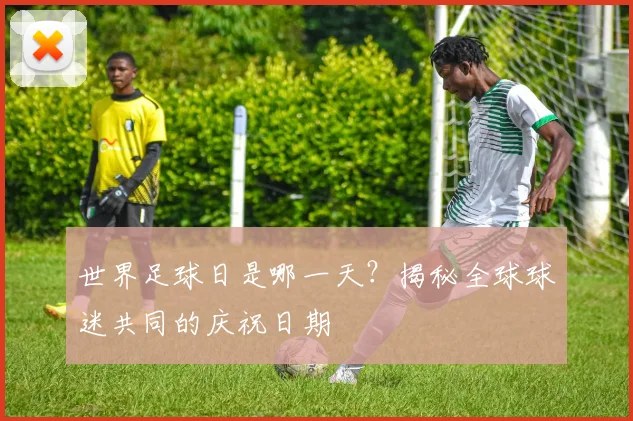 世界足球日是哪一天？揭秘全球球迷共同的庆祝日期